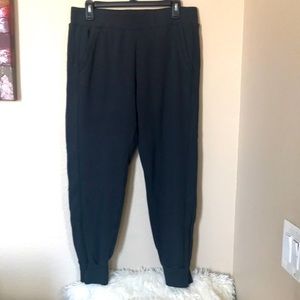 women's Fabletics pants sz L